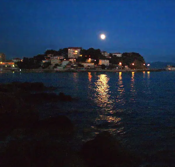 Abri Piscine Plat Prix abri de piscine Bandol